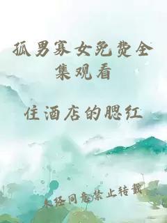 孤男寡女免费全集观看