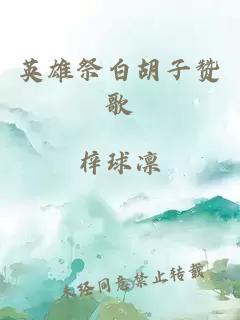 英雄祭白胡子赞歌
