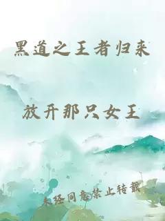 黑道之王者归来