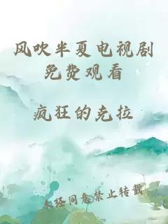 风吹半夏电视剧免费观看