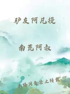 驴友阿凡提