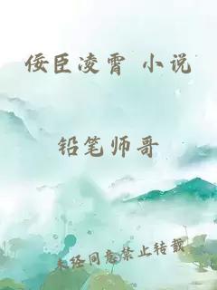 佞臣凌霄 小说