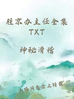驻京办主任全集TXT
