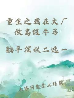 重生之我在大厂做高级牛马