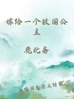 嫁给一个敌国公主