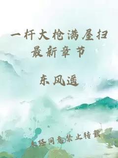 一杆大枪满屋扫最新章节