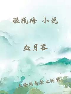 银瓶梅 小说