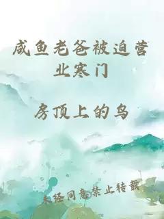 咸鱼老爸被迫营业寒门