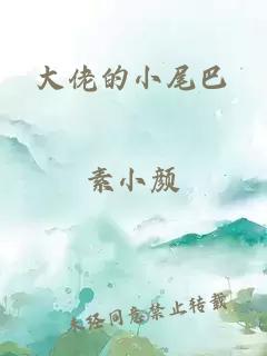 大佬的小尾巴