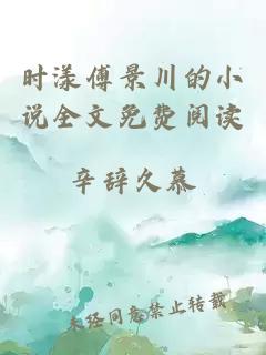 时漾傅景川的小说全文免费阅读