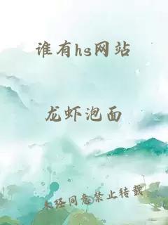 谁有hs网站
